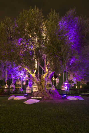 Illuminazione Tableau