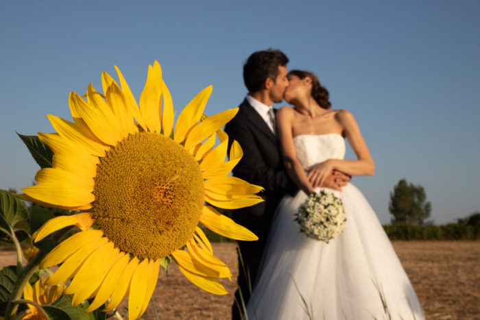 girasole