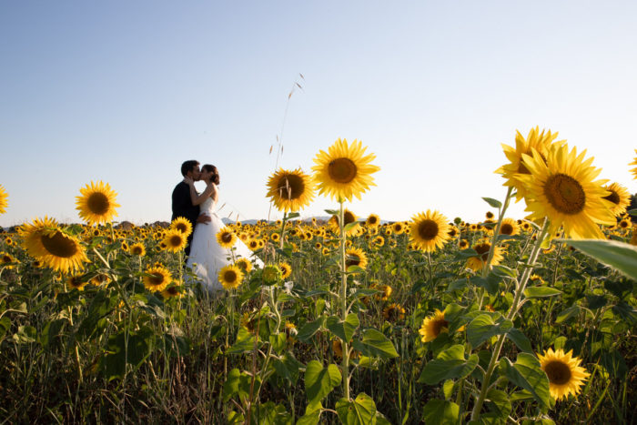 girasoli