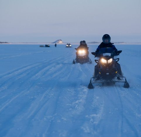 Safari su Motoslitta