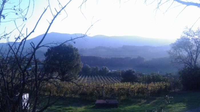 panorama