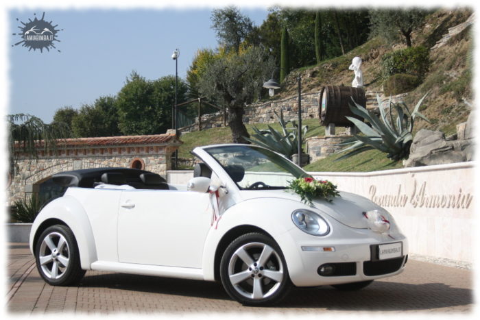 Maggiolone New Beetle Cabrio