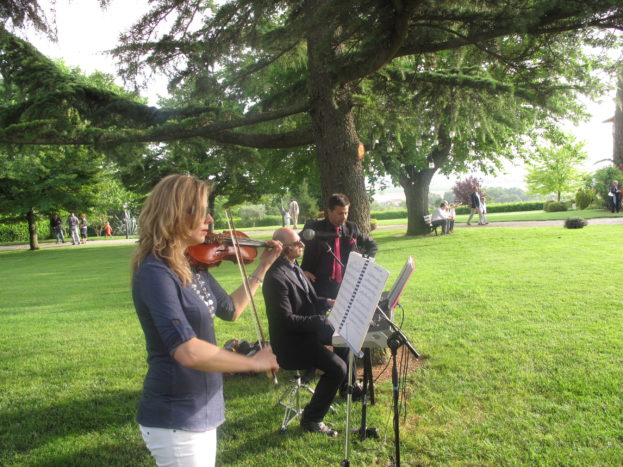 violino
