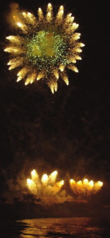 Farfalla oro con centro verde