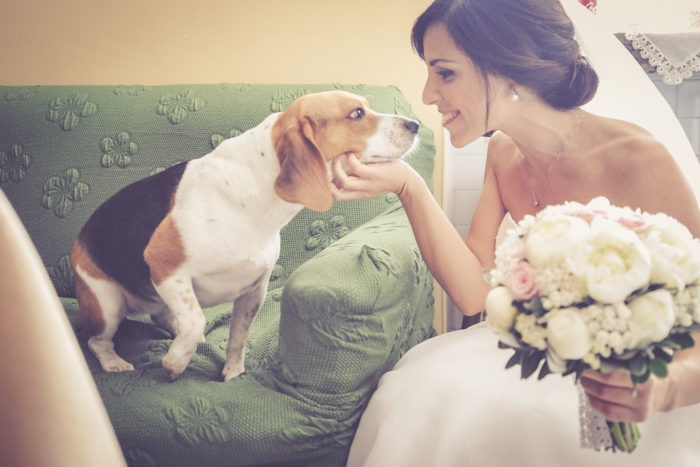 Ritratto con il cane