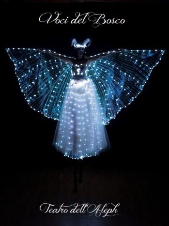 Fata Luminosa