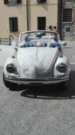 Maggiolino bianco
