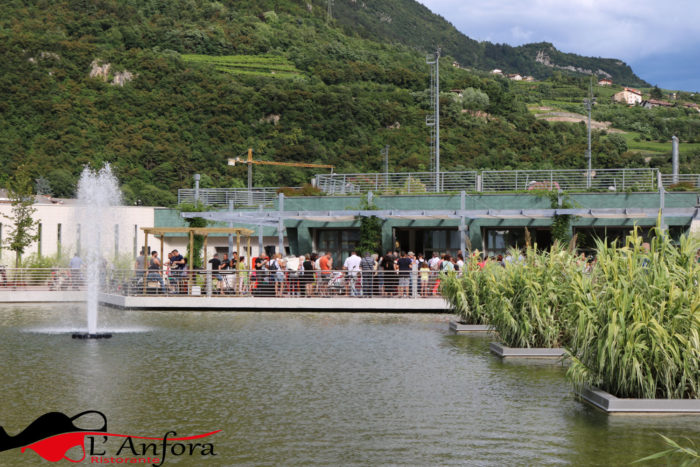 L'Anfora