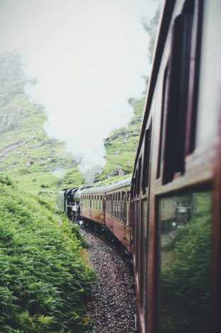 Forest Train