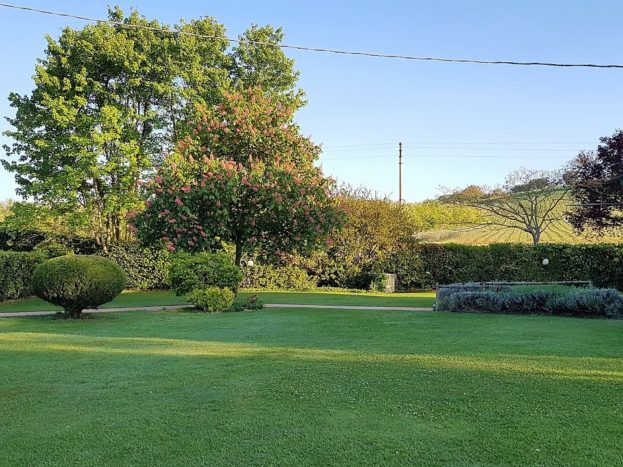 Giardino