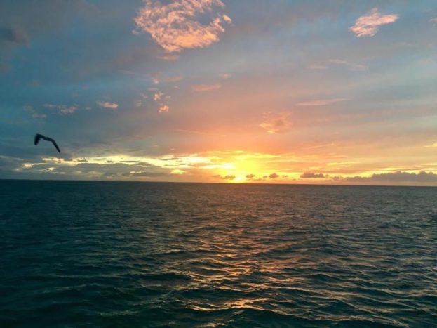 Ankiroa Viaggi Maldive