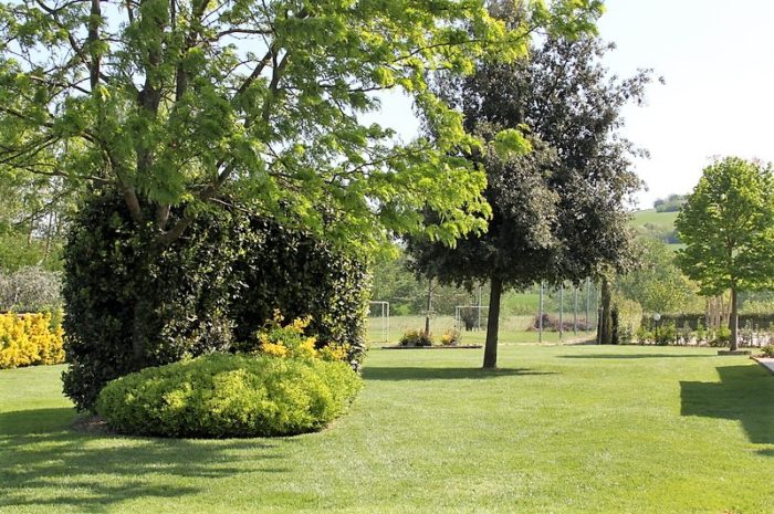 Giardino