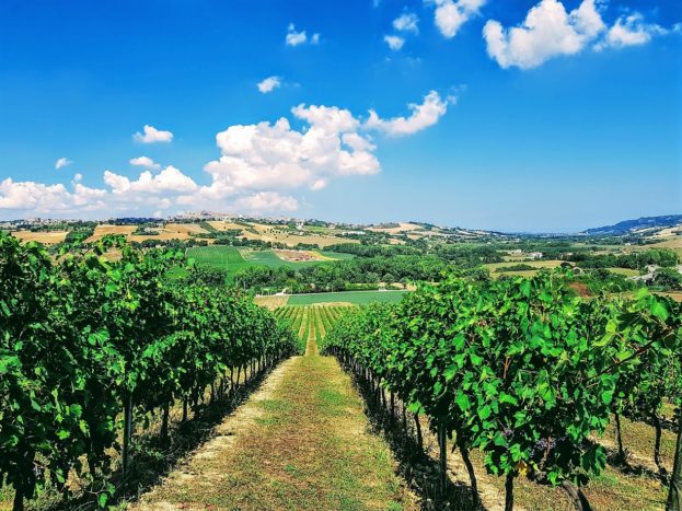 Paesaggio circostante