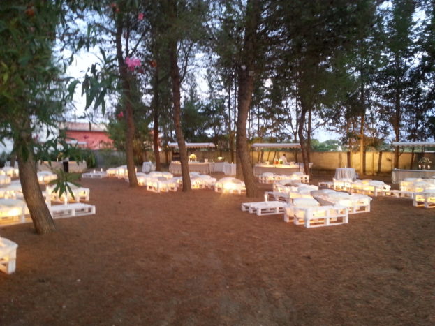 pineta
