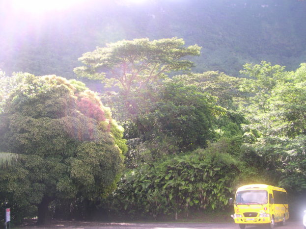 Moorea