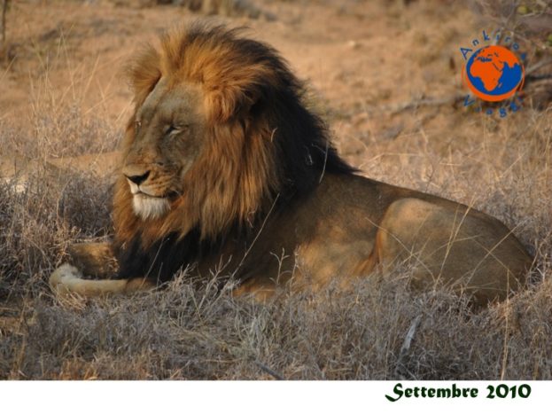 Ankiroa Viaggi Sud Africa