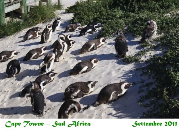 Ankiroa Viaggi Sud Africa