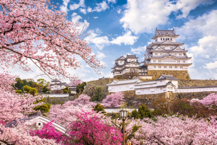 Hanami in Giappone