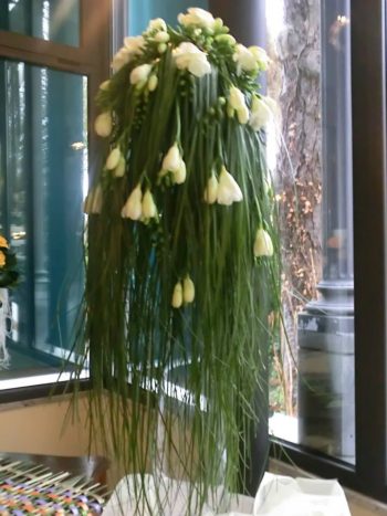 Capelli di Venere