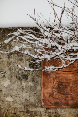 Anche in Inverno