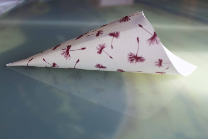 Linea burgundi
