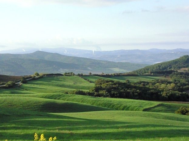 Colline toscane