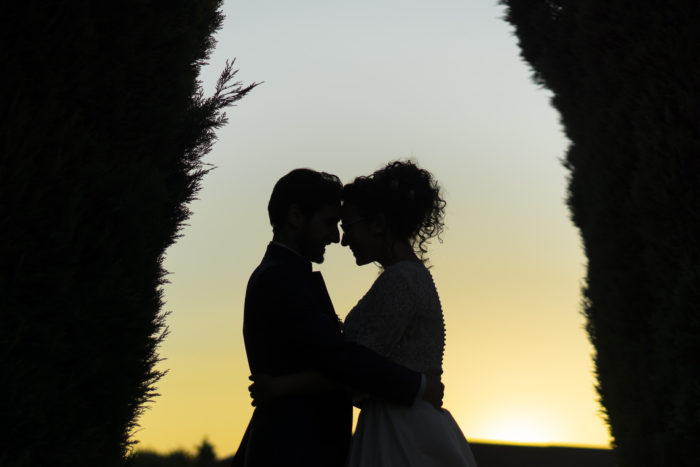 Silhouette artistica