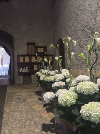 Ingresso