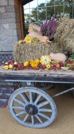carretto autunnale