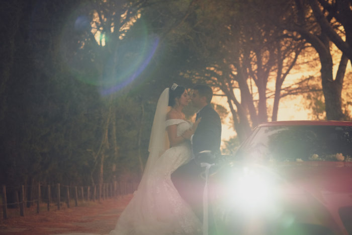 Fotoartepisani