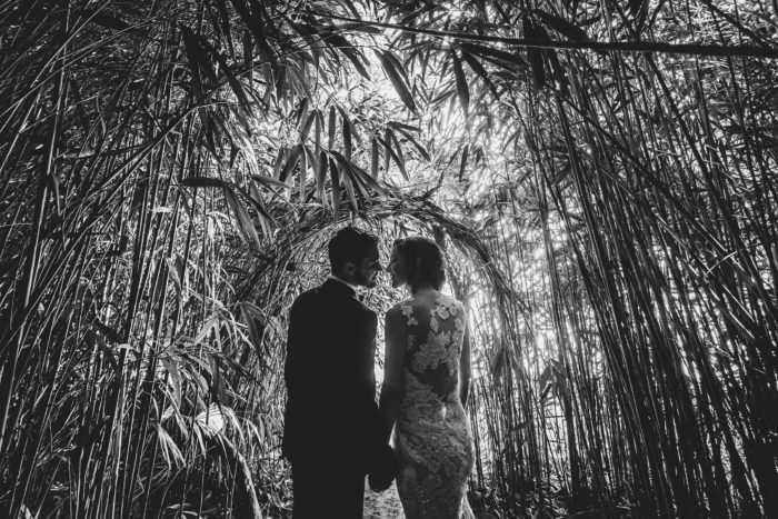 silhouette