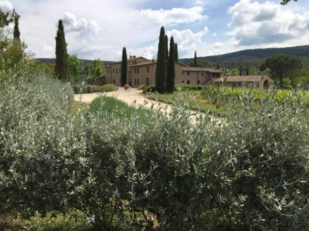 BORGO DE' BRANDI