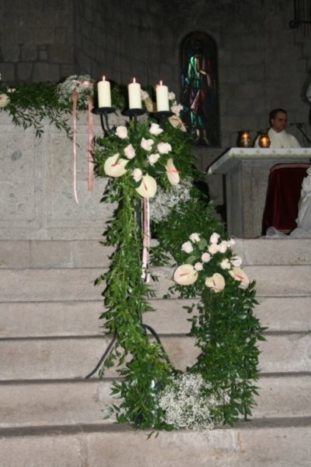 VIVAIO LA CAMELIA