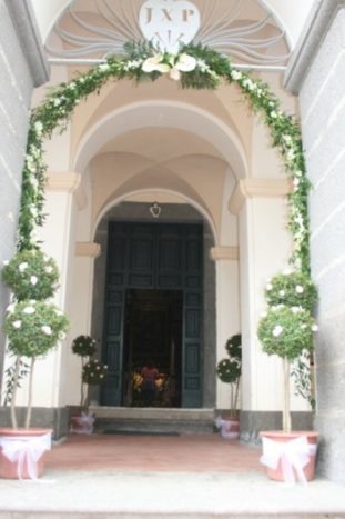 VIVAIO LA CAMELIA