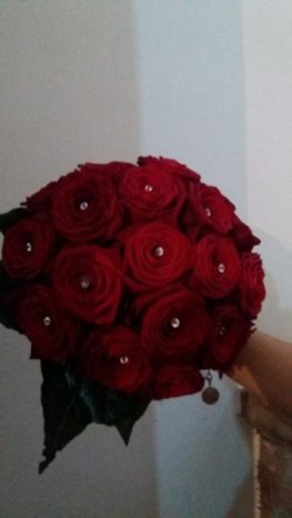 VIVAIO LA CAMELIA