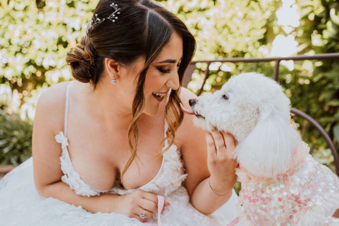 Pet and Love