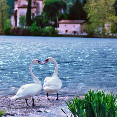 CASTEL TOBLINO