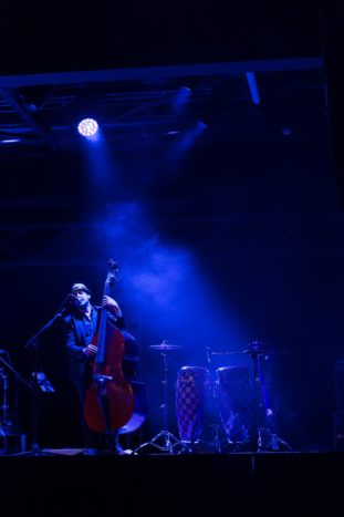 the bass player