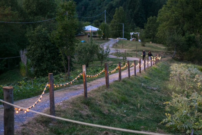 Viale illuminato tra gli orti