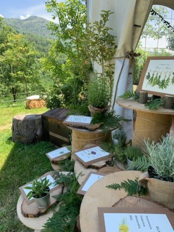 Tableau de Mariage Verde