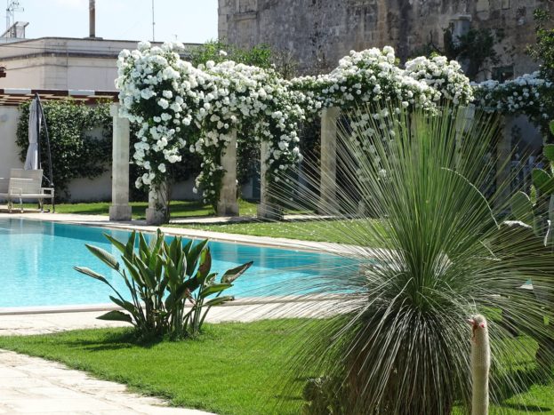 giardino
