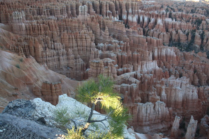 Bryce Canyon