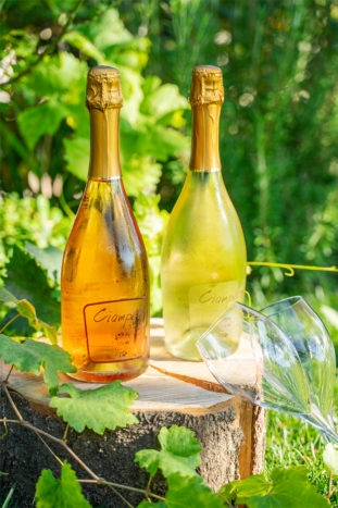 vini di nostra produzione