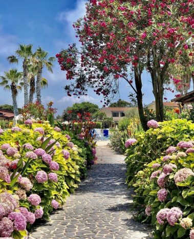 viale in fiore