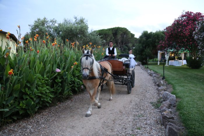 Sposi in carrozza