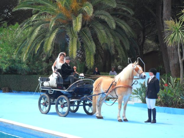 Sposi in carrozza