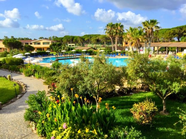 Pool and gardens