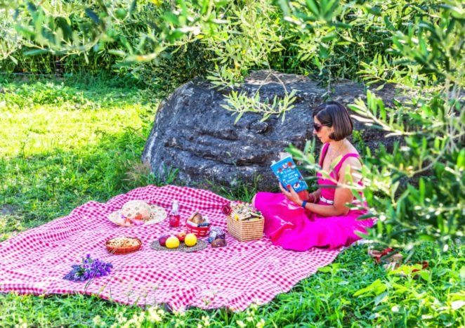 evento pic-nic