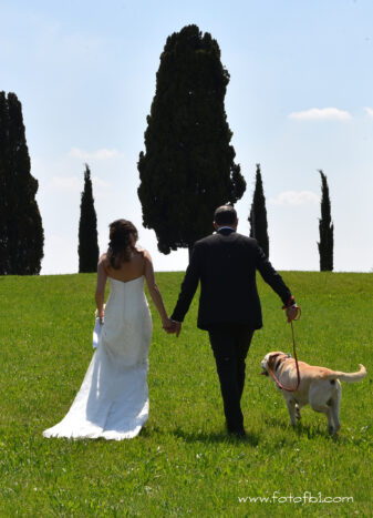 la vita continua
