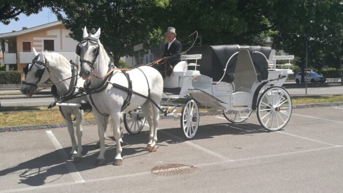 Carrozza bianca